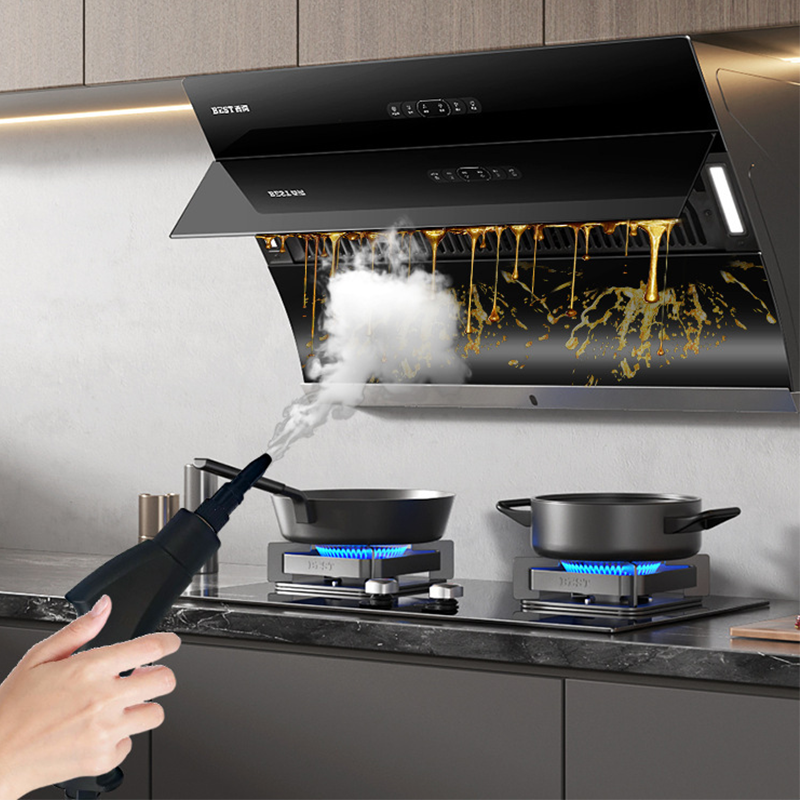 Nettoyeur vapeur portable multifonction avec chauffage rapide